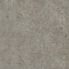 Eleganza Limestone Gris YI6L5016